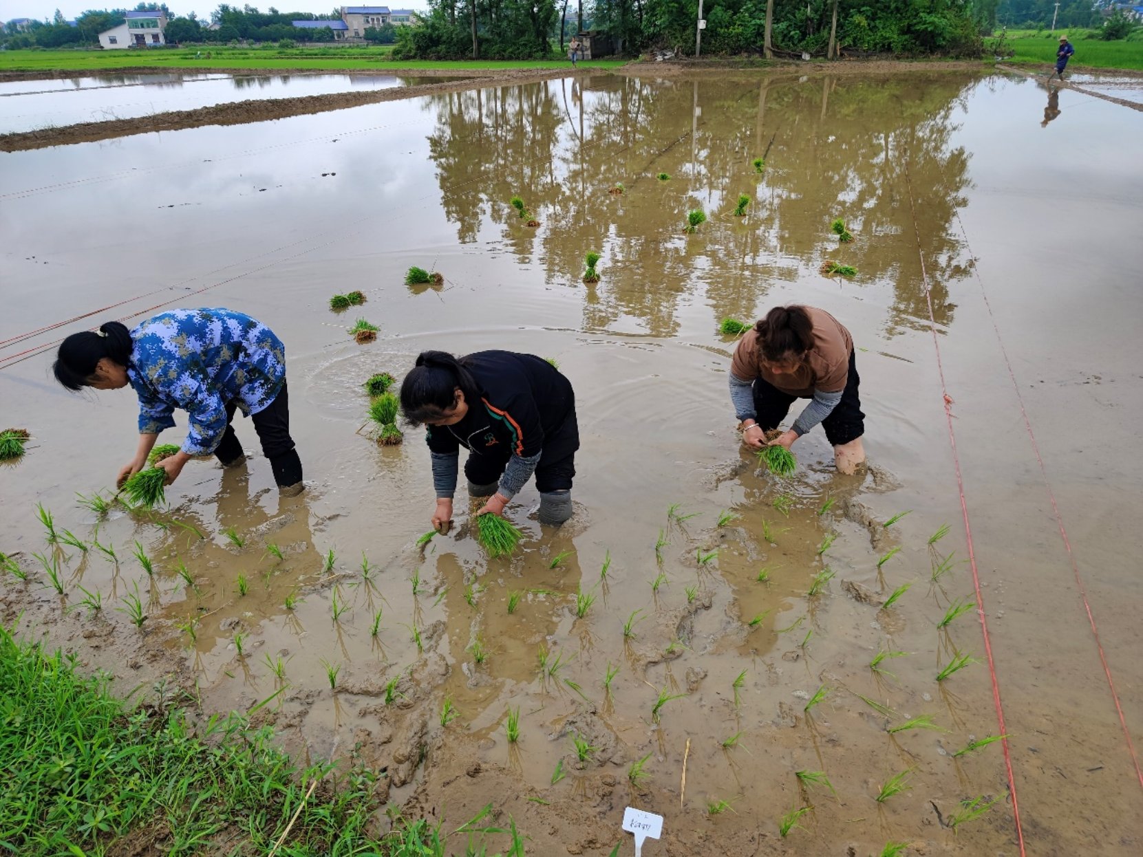 bevictor伟德官网