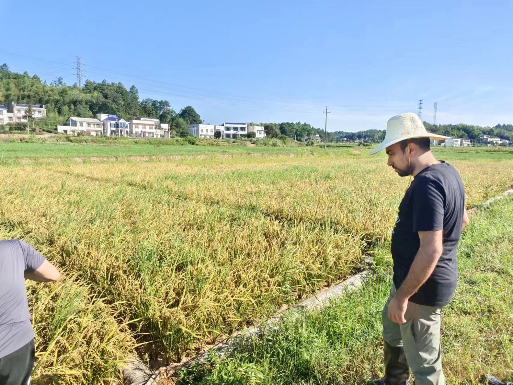 bevictor伟德官网