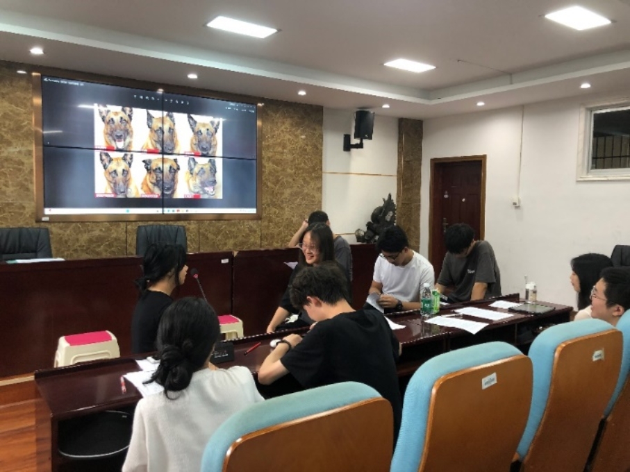 bevictor伟德官网