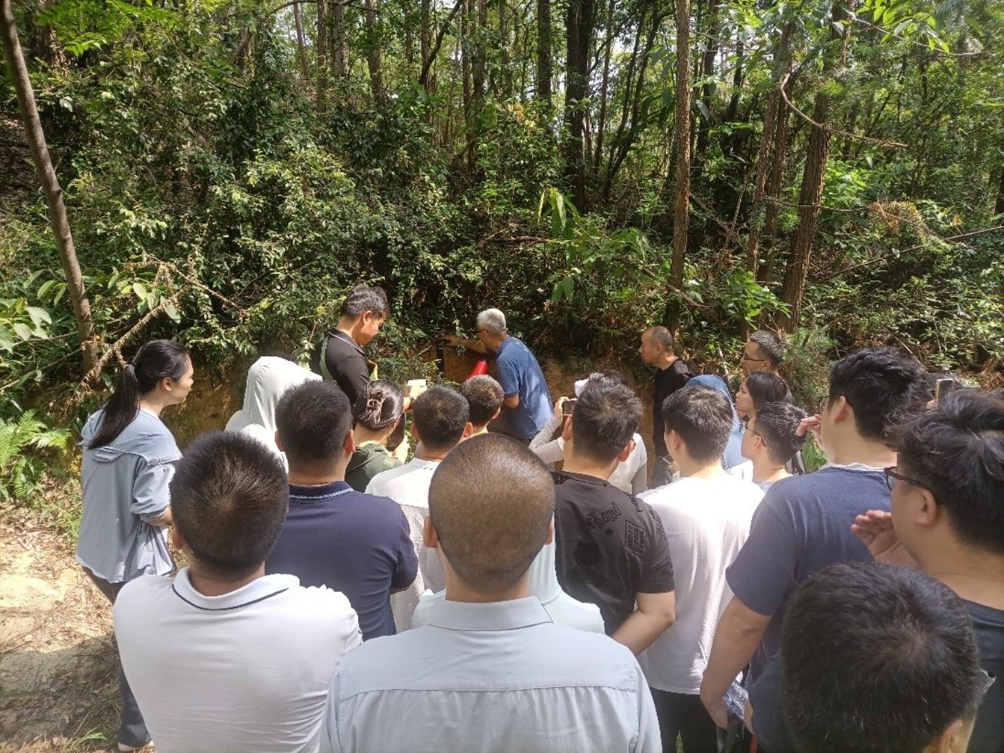 bevictor伟德官网