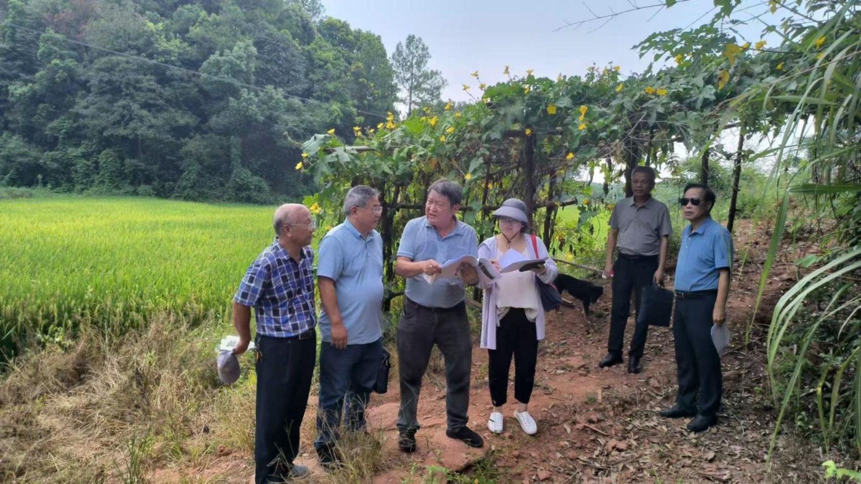 bevictor伟德官网